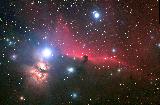 horsehead_steinberg_big.jpg