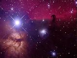 horsehead_tan_big.jpg